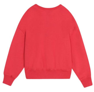 Polo Ralph Lauren Crewneck Sweatshirt 313856397001