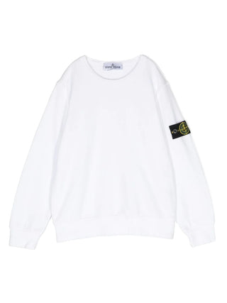 Stone Island Classic Crewneck Sweatshirt 801661340