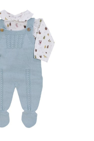 Baby Fashion Two-piece overalls 532.6