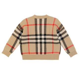 Burberry Pullover mit V-Ausschnitt 8043661