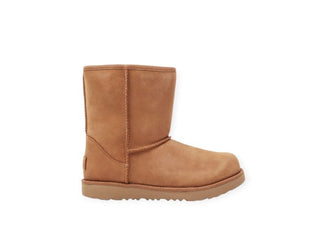 Ugg Boots 1019646