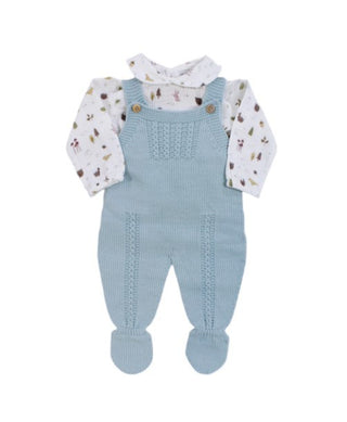 Baby Fashion Two-piece overalls 532.6