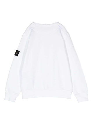 Stone Island Classic Crewneck Sweatshirt 801661340