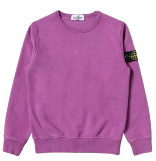 Sweatshirt mit Stone Island-Logo 771661340