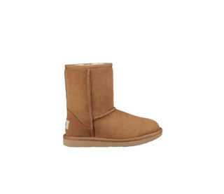 Ugg Boots 1017703k